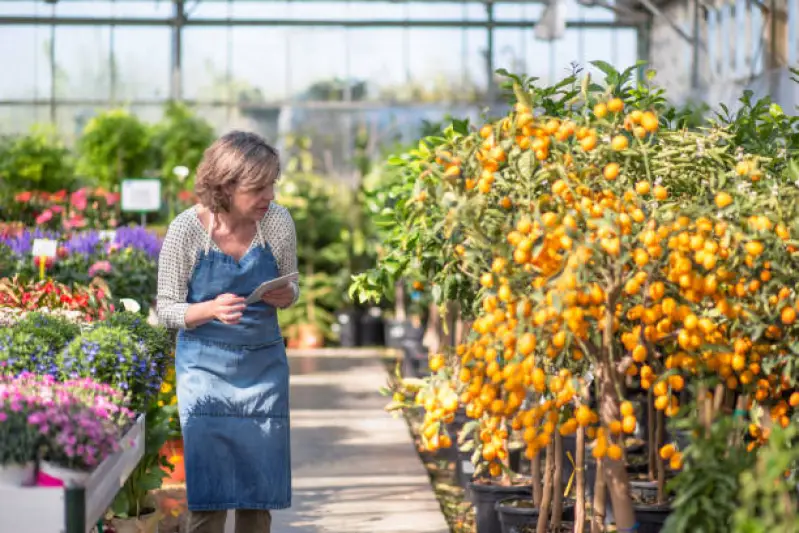 árvores frutíferas nativas