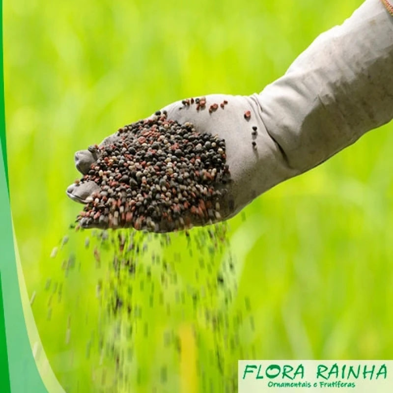 fertilizante para árvores frutíferas