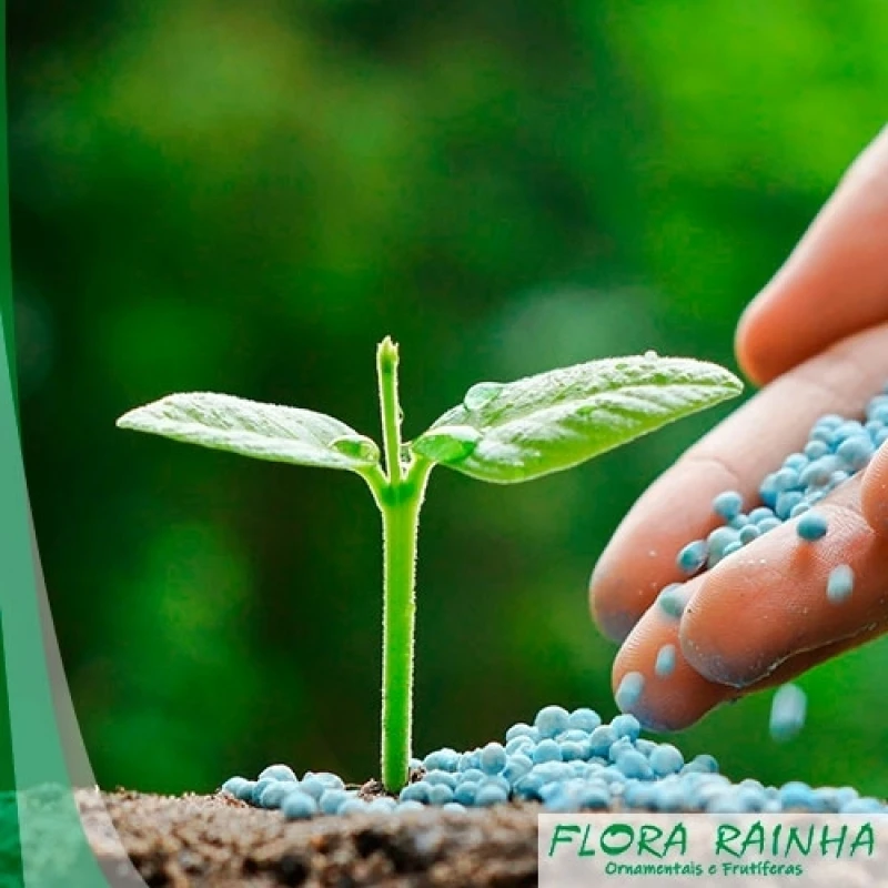 fertilizantes orgânicos