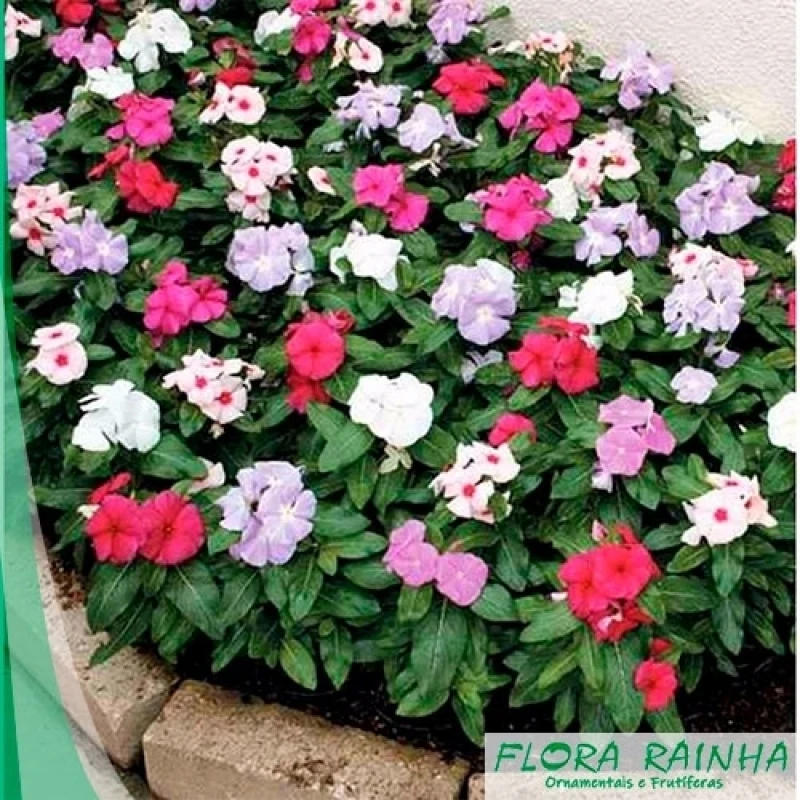 forração vermelha para jardim