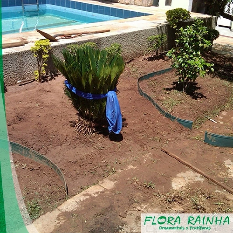 limitador de grama para jardim